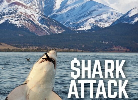 Shark Attack cover 3